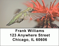 Humingbird Address Labels Accessories