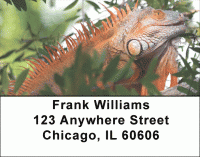 Iguanas Address Labels Accessories