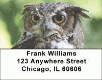 Owls Address Labels Accessories