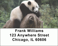 Panda Bear Address Labels Accessories