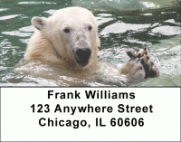 Polar Bears in the Water Address Labels Accessories