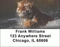 Tigers Address Labels Accessories