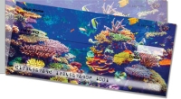 Coral Reef Side Tear Personal Checks