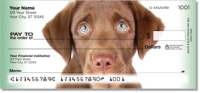 Chocolate Lab Pup Personal Checks