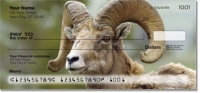 Big Horn Sheep Personal Checks