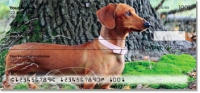 Dachshund Personal Checks