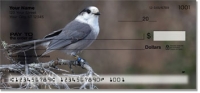 Gray Jay Bird Personal Checks