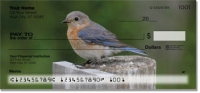 Bluebird Personal Checks