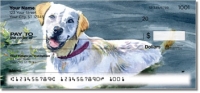 Dog Artwork Personal Checks