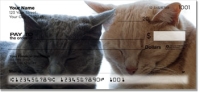 Cat Nap Personal Checks