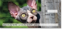 Sphynx Cat Personal Checks