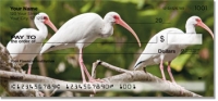 White Ibis Personal Checks