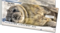 Animals of Antarctica Side Tear Personal Checks