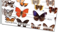Butterfly Collection Side Tear Personal Checks