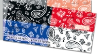 Paisley Pattern Side Tear Personal Checks