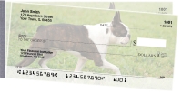 Boston Terrier Side Tear Personal Checks