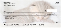 Sleepy Kittens Personal Checks