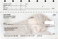 Sleepy Kittens Top Stub Personal Checks