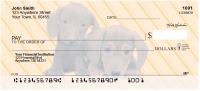 Dachshunds Pups Keith Kimberlin Personal Checks