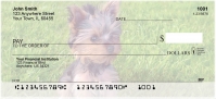 Yorkies Personal Checks