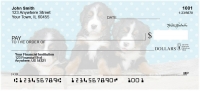 Bernese Mountain Dog Pups Keith Kimberlin Personal Checks