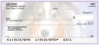 Collie Pups Keith Kimberlin Personal Checks