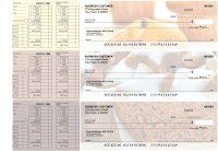 Bakery Payroll Designer Business Checks