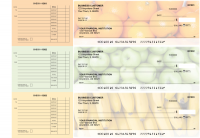 Fruit Accounts Payable Designer Business Checks