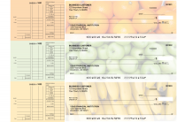 Fruit Multi Purpose Designer Business Checks