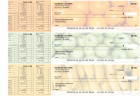 Fruit Payroll Designer Business Checks
