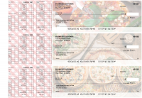 Pizza Payroll Designer Business Checks