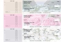Florist Accounts Payable Designer Business Checks