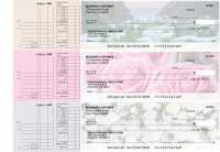 Florist Multi Purpose Designer Business Checks
