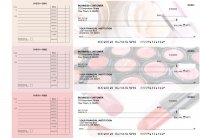 Makeup Accounts Payable Designer Business Checks