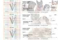 Veterinarian Accounts Payable Designer Business Checks