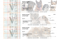 Veterinarian Multi Purpose Designer Business Checks