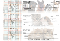 Veterinarian Payroll Designer Business Checks