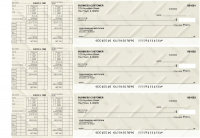 Iron Payroll Designer Business Checks