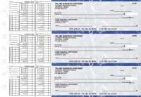 Blue Marble Payroll Business Checks