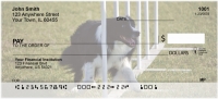 Agility Border Collies Personal Checks