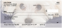 Bichon Frise Personal Checks