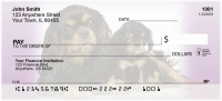 Cavalier King Charles Puppies Personal Checks