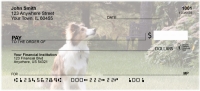 Sheltie Dog Personal Checks
