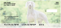Weimaraner Dog Personal Checks