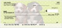 Australian Shepherd Pups Keith Kimberlin Personal Checks