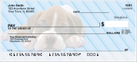 Boxer Pups Keith Kimberlin Personal Checks