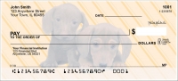 Dachshunds Pups Keith Kimberlin Personal Checks