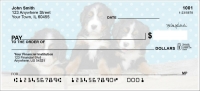 Bernese Mountain Dog Pups Keith Kimberlin Personal Checks