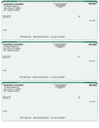 Green Safety 3 Per Page Laser Checks