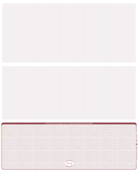 Burgundy Safety Blank High Security Bottom Laser Checks